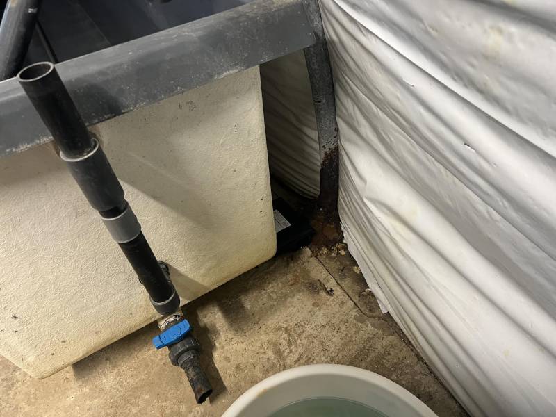 Dératiseur professionnel pour contrat de dératisation annuel dans un restaurant Médoc 33