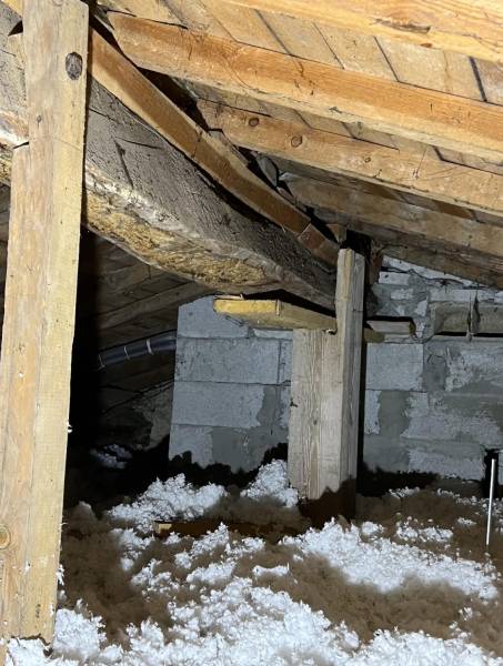 Traitement chimique pour éliminer le capricorne du bois dans le Médoc 33