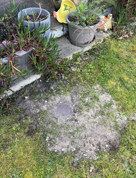 Société de traitement contre le termite par pièges appâts au Verdon dans le Médoc