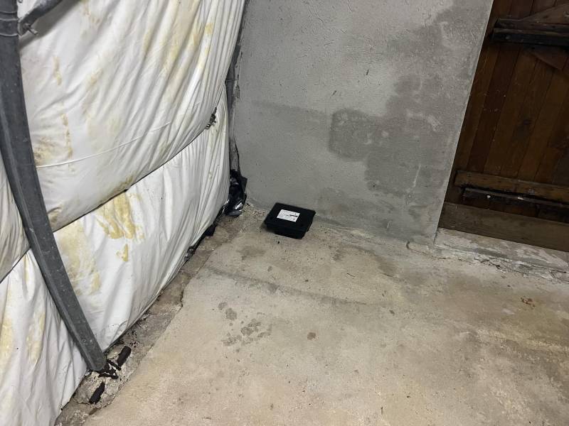 Contrat annuel de dératisation pour éliminer tous les types de rongeurs à Soulac sur Mer dans le Médoc