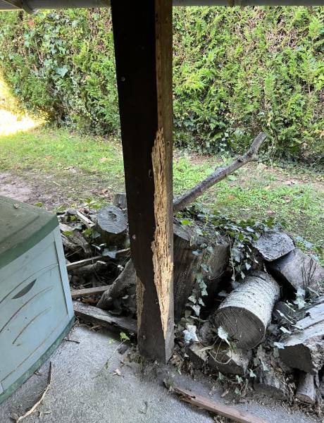 Traitement de poutre en bois contre le capricorne par injection et pulvérisation Saint Médard en Jalles en Gironde