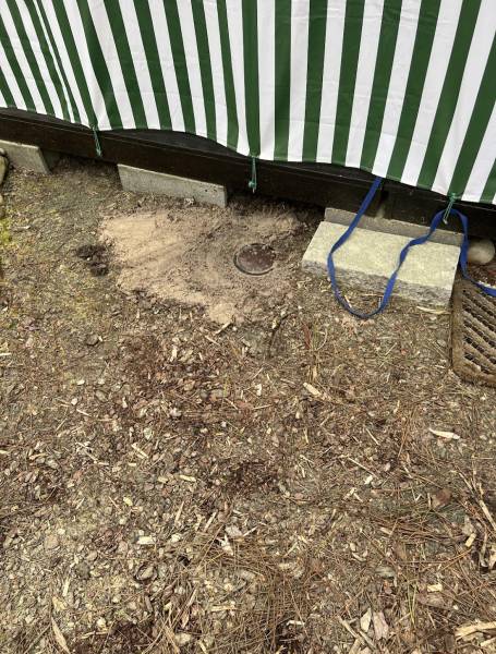 Traitement anti-termite par pièges appâts pour chalet bois EURONAT Grayan et l'Hôpital