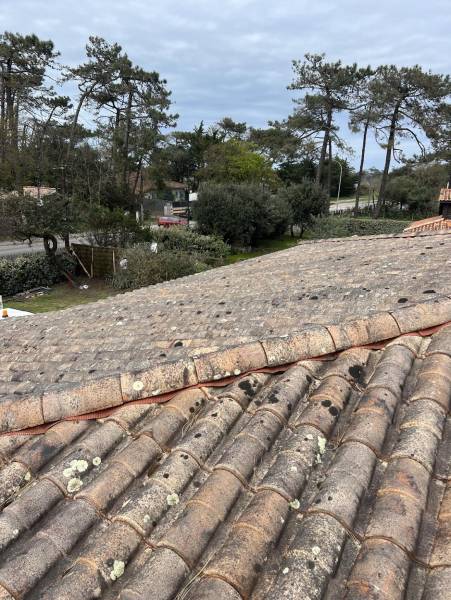 Société de traitement de toiture pour démoussage de tuiles méridionales dans le Médoc 33