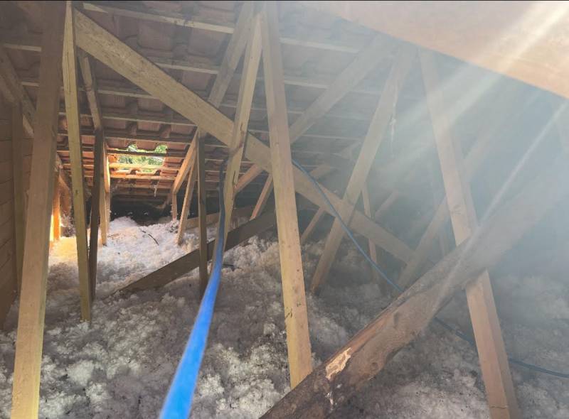 Traitement chimique contre le capricorne pour une charpente bois Grayan et l'Hôpital 33