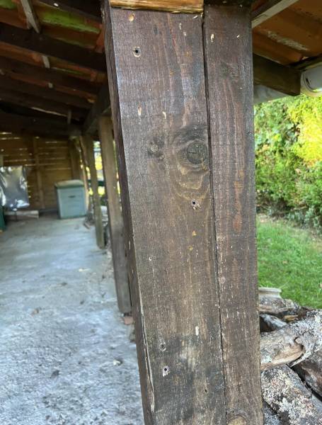 Devis traitement anti-capricorne pour les bois extérieurs par un exterminateur professionnel Médoc 33