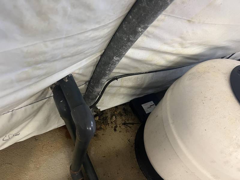 Société dératisation vers Soulac sur Mer pour souscrire un contrat de dératisation annuel