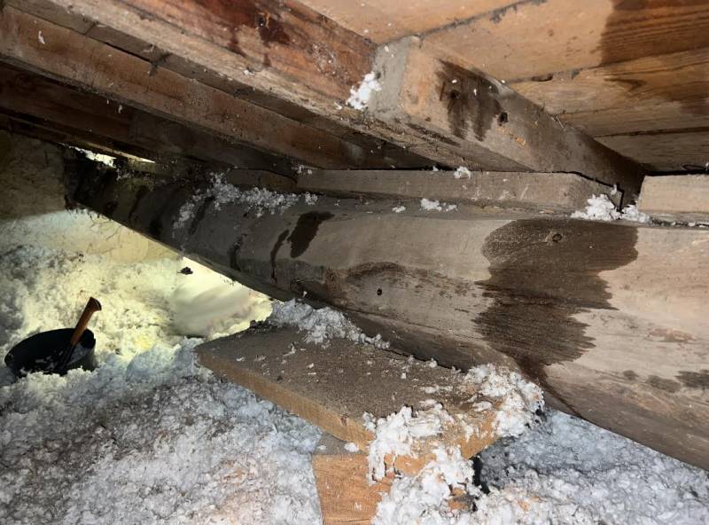 Traitement des bois de charpente par injection contre le termite au Verdon dans le Médoc