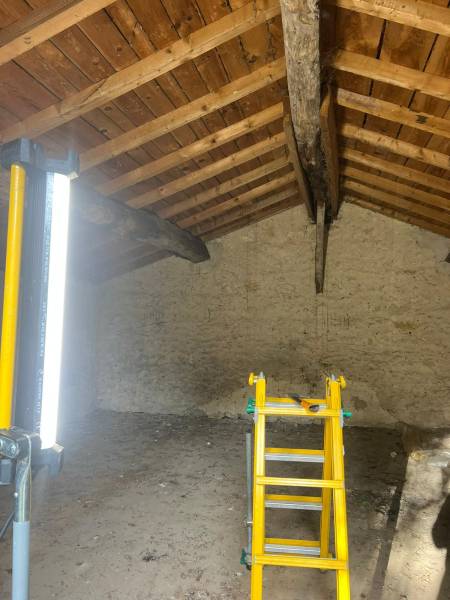 Traitement capricorne ou termite dans le Médoc : injection ou pulvérisation, quelle méthode choisir ?