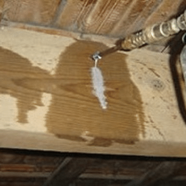 Traitement chimique par injection contre le termite pour les murs d'une maison Verdon dans le Médoc