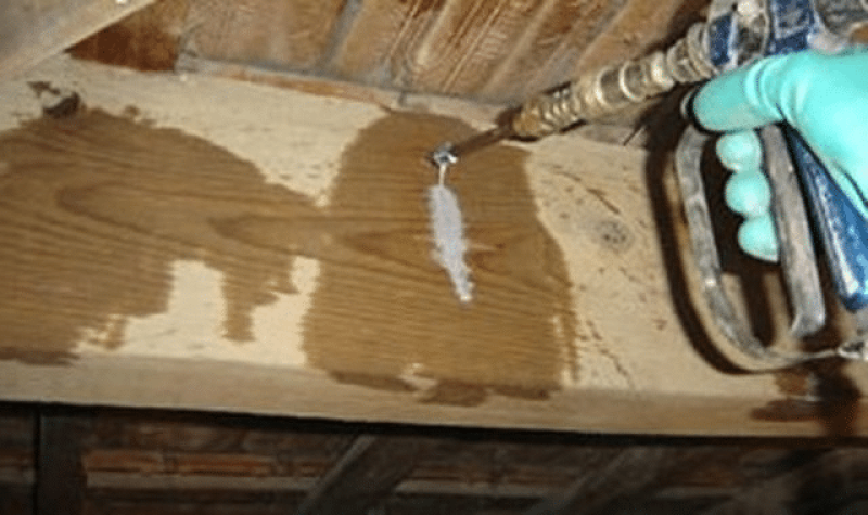 Société de traitement contre le capricorne pour traiter les bois de charpente d'une maison au Verdon