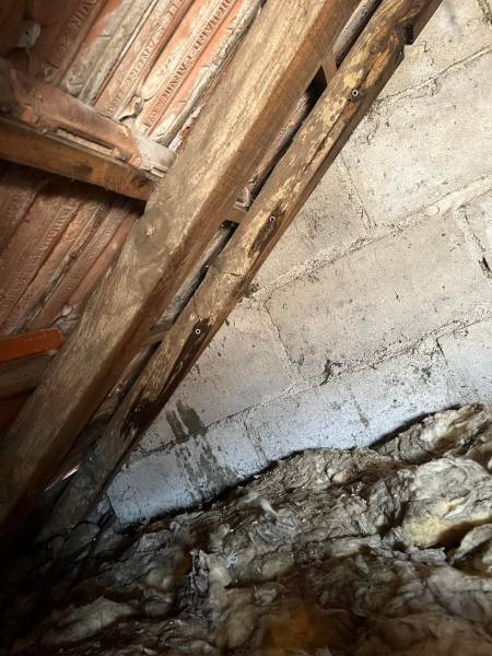 Traitement des bois de charpente par injection et pulvérisation contre la fourmi charpentière Soulac sur Mer dans le Médoc