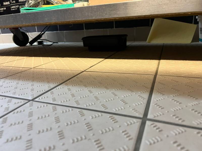 Dératisation annuelle sur un restaurant camping à Montalivet-les-Bains 33930 : Prévenir l'invasion de rats pour respect de normes HACCP et sanitaire