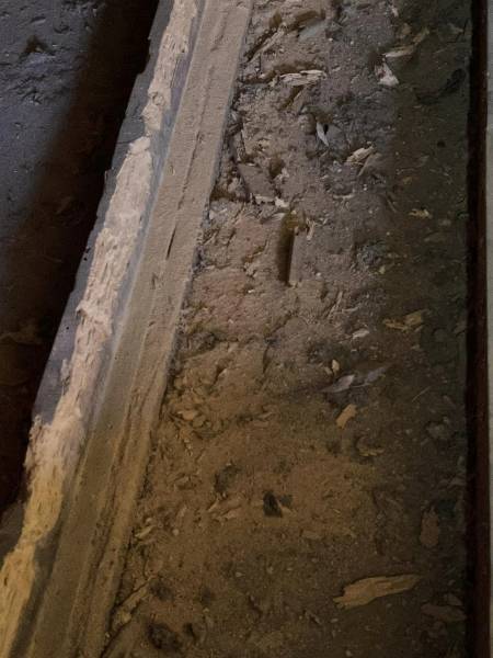 Société de traitement chimique par injection contre la vrillette du bois à Vendays Montalivet dans le Médoc