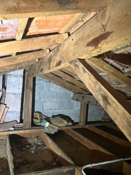 Traitement anti-termites pour traiter les bois de charpente par injection et pulvérisation au Verdon 33