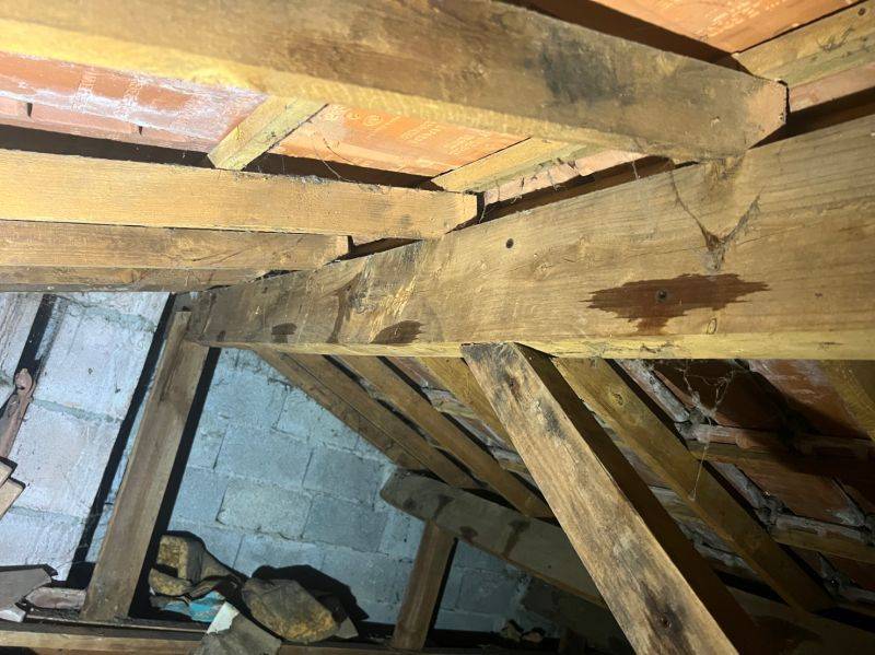 Traitement des bois de charpente par injection et pulvérisation contre les termites Le Verdon 33 dans le Médoc