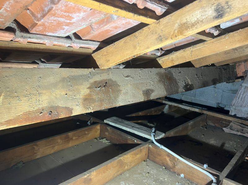 Traitement d'une charpente en bois contre les nuisibles à Blanquefort en Gironde