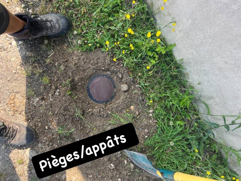 Installation de pièges anti-termites par appâts pour traiter une maison à Saint Estèphe 33