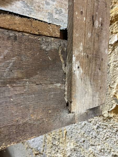 Traitement du bois par injection sous pression – chantier à Bordeaux centre