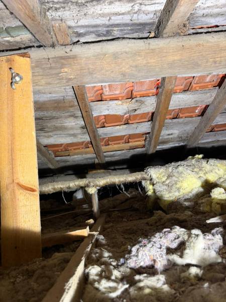 Entreprise traitement capricorne Soulac-sur-Mer intervention rapide