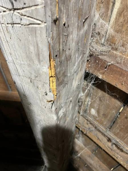 Traitement chimique anti-termite pour les bois de charpente d'une maison Lesparre Médoc 33