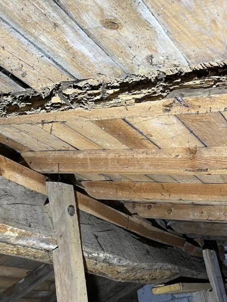 Traitement chimique des bois de charpente par injection et pulvérisation contre le termite souterrain à Lesparre Médoc