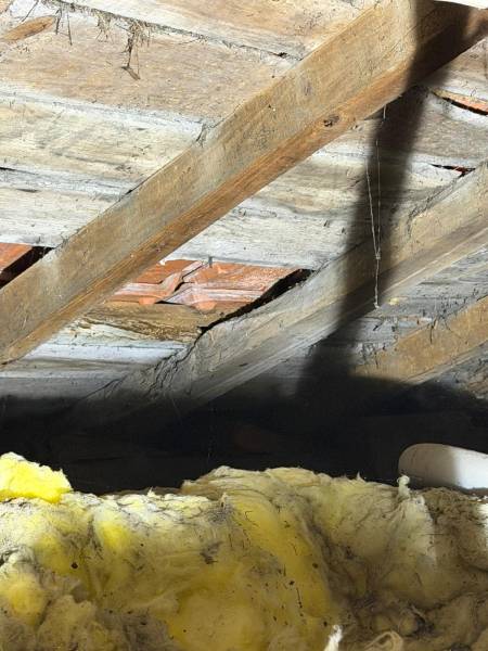 Qui intervient rapidement pour un traitement anti-xylophages dans le secteur Lesparre – Soulac ?