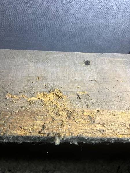 Traitement anti-termites à Royan 17200 Charente-Maritime