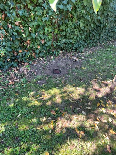 Traitement termites à Bordeaux Centre : l’expertise des pièges appâts pour le bâti ancien.