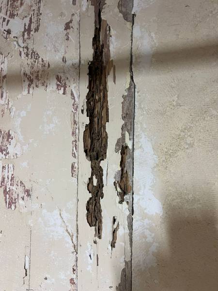 Forage précis d’une solive pour injection insecticide curatif à Bordeaux