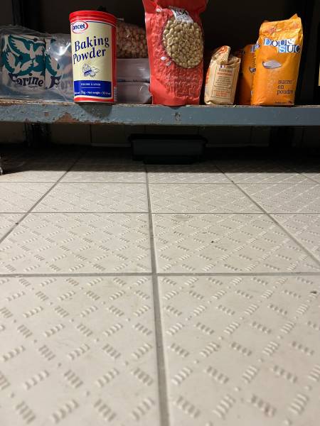 Dératisation annuelle sur un restaurant camping à Montalivet-les-Bains 33930 : Prévenir l'invasion de rats pour respect de normes HACCP et sanitaire