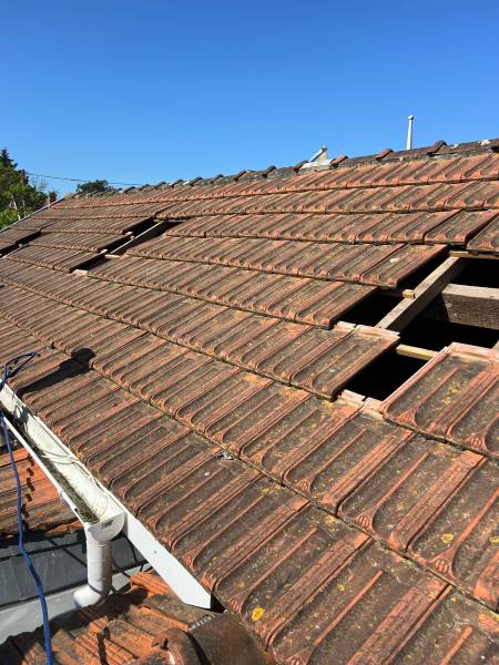 Pourquoi traiter une charpente avant de rénover une toiture à Soulac-sur-Mer ?