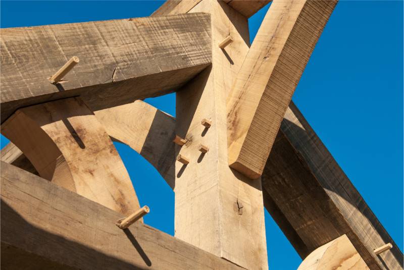 Société de traitement anti-termites dans le Médoc 33