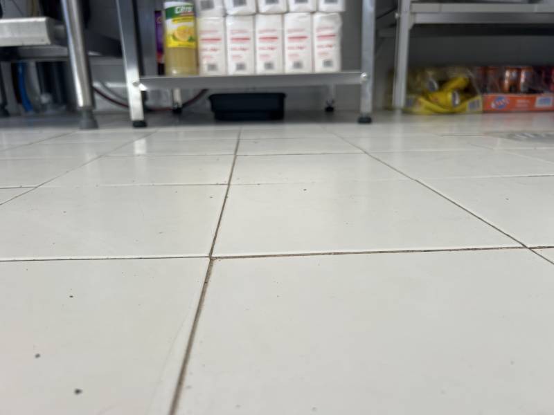 Société de dératisation Lesparre Medoc : Prix de l'intervention pour traitement d'une zone