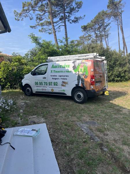 Dératisation à Soulac-sur-Mer élimination des rats et souris dans le Médoc par Aquitaine X Termite A Tort