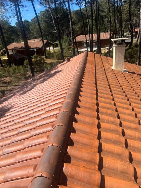 Spécialiste du traitement anti-mousse dans le Médoc