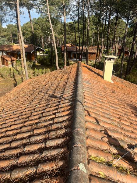 Spécialiste du traitement anti-mousse à Royan