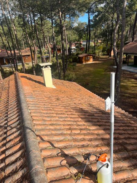 Quelle différence entre un nettoyage simple et un traitement professionnel ?