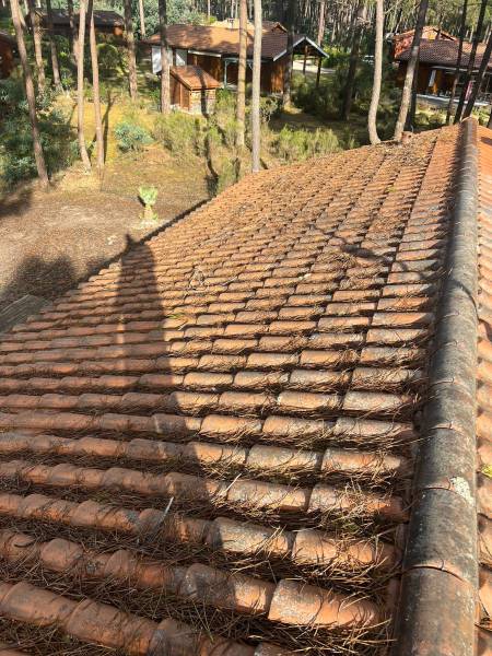 Comment éviter le retour des mousses après un nettoyage de toiture ?