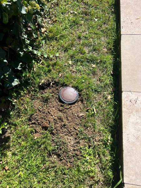 Traitement termites à Bordeaux Centre : l’expertise des pièges appâts pour le bâti ancien.