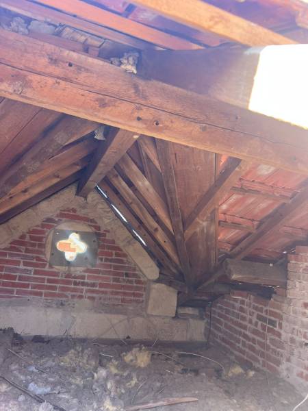 Comment repérer des signes d’insectes xylophages dans une charpente ancienne ?