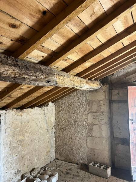 Société anti insectes xylophages Médoc Lesparre Soulac