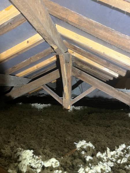 Traitement de bois contre les termites à Royan (17) 