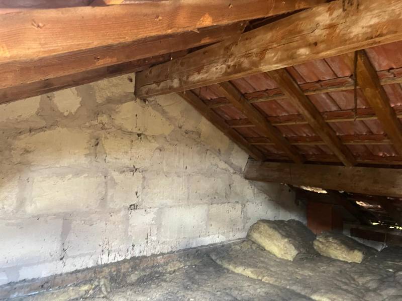 Traitements préventifs du bois et charpentes dans le Médoc et en Gironde (33) contre les termites