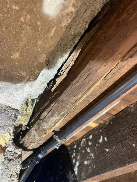 Entreprise pour restauration et traitement bois préventif et curatif d’un solivage à Bordeaux