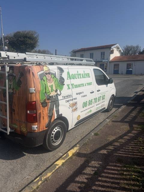 intervention Aquitaine x termite a tort à Grayan et l'hôpital - expert termites dans le médoc 