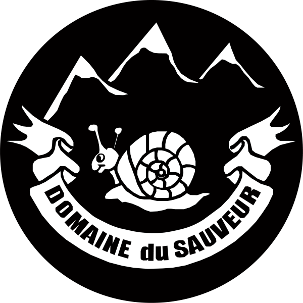 Location chalets Luz-Saint-Sauveur Domaine du sauveur