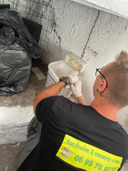 Traitement par pièges/appâts termites sur Pauillac 33250