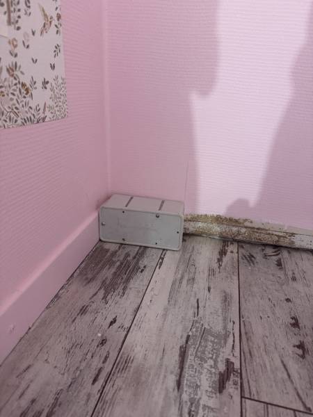 mise-en-place-d’un-système-de-pièges-appâts-termites-avec-contrôle-régulier-sur-une-habitation-située-entre-Vendays-Montalivet-et-Lesparre-Médoc.