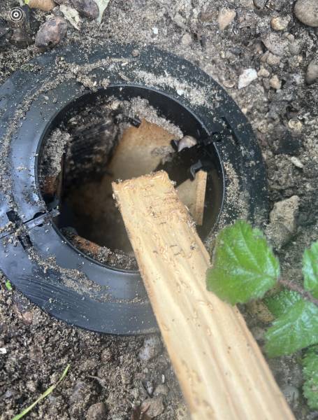 Pourquoi choisir le traitement par pièges appâts EXTERRA contre le termite ? Médoc (33)