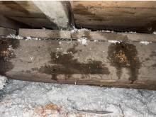 Notre zone d'activité pour ce service Détection de termites pas cher et traitement des bois de charpente à Soulac sur mer dans le Médoc : inspection minutieuse et solutions curatives économiques pour sauver votre toiture - 2026